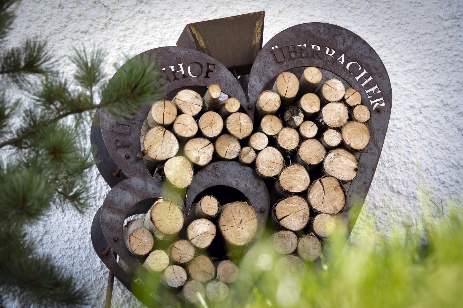 Chalet-Haus Natur Ruhe Panoramafenster Kräutersauna Halbpension (13)