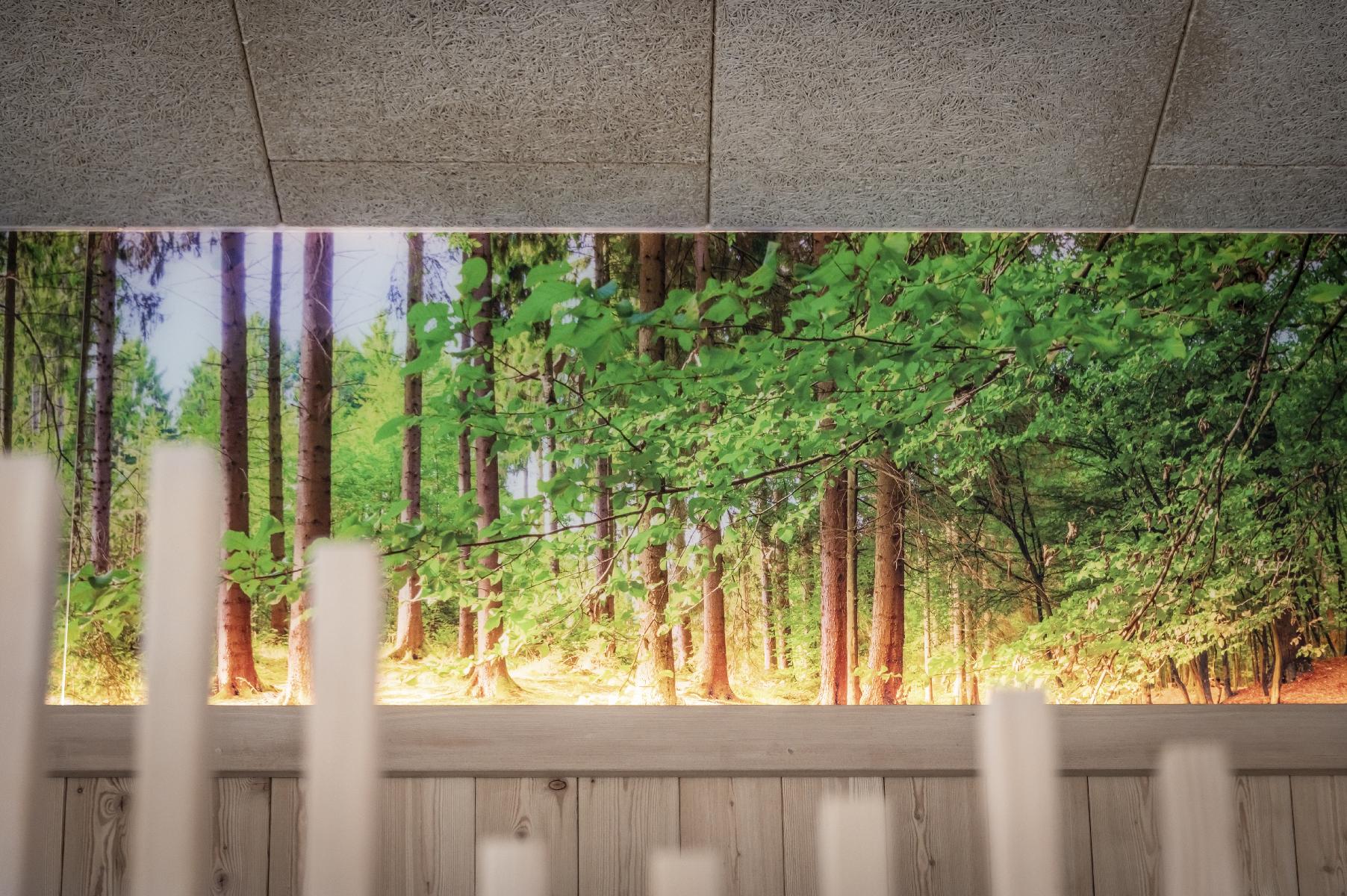 Chalet-Haus Natur Ruhe Panoramafenster Kräutersauna Halbpension (25)