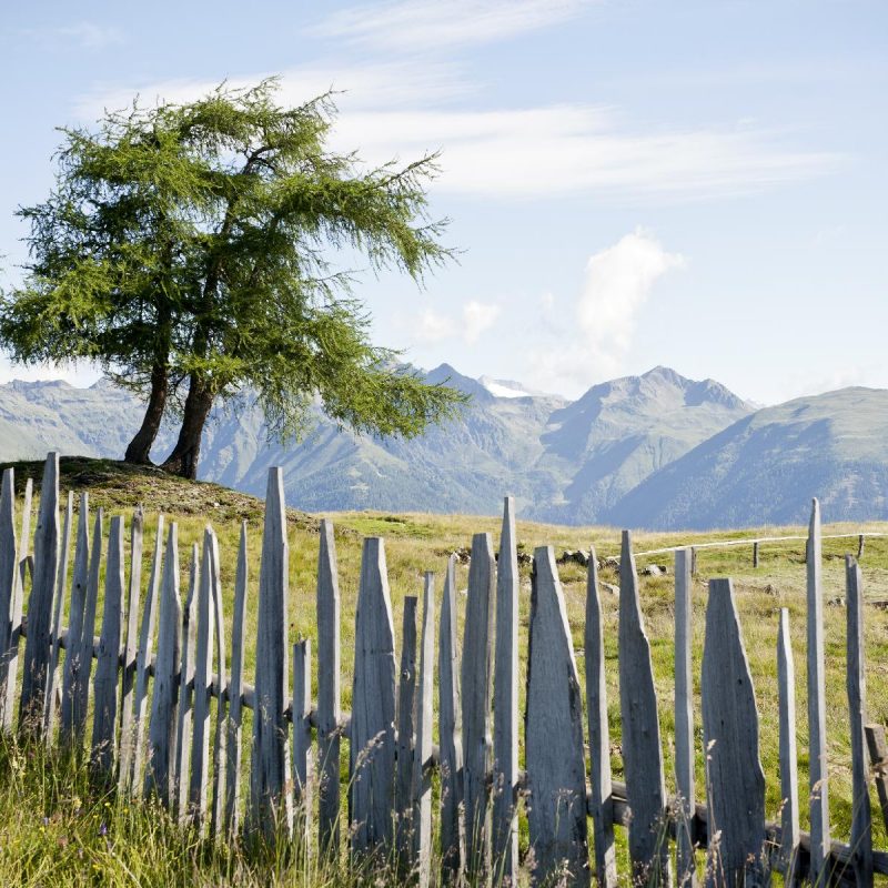 Sommer Südtirol Abenteuerurlaub Natur Berge Rafting (2)