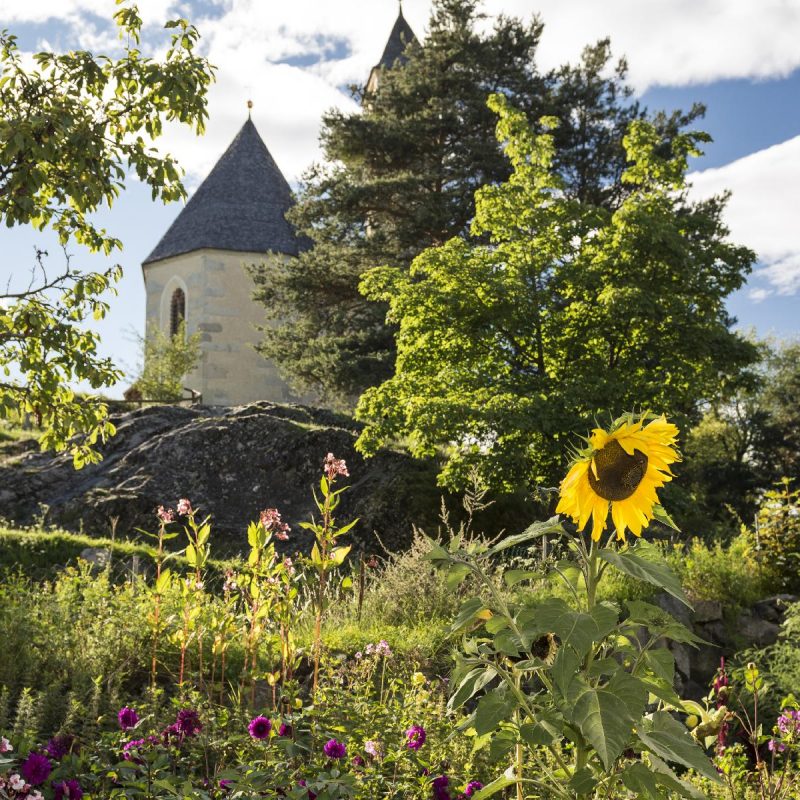 Sommer Südtirol Abenteuerurlaub Natur Berge Rafting (6)