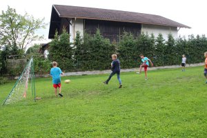 Guesthouse with pool in South Tyrol 2