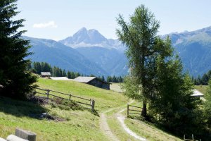 Hiking vacation in South Tyrol 3